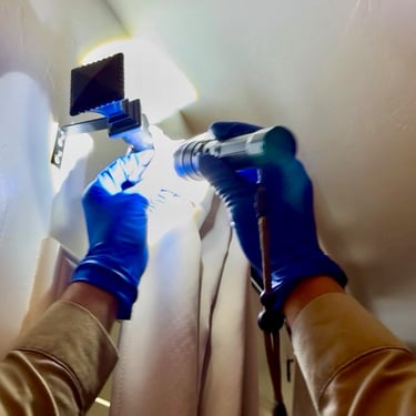 Bed bug inspection curtain area Menifee CA Footprint Pest Management