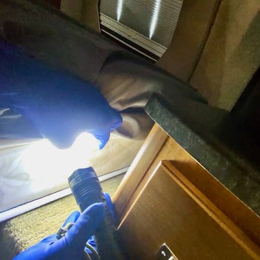 Bed Bug Treatment in Menifee, CA Footprint Pest Management