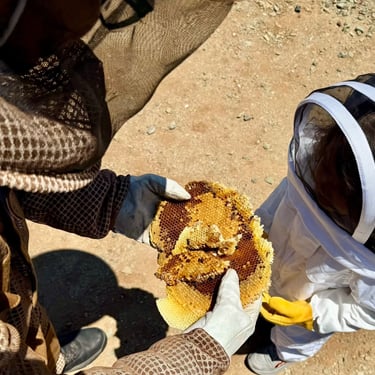 Bee treatment honeycomb removal in Menifee CA Footprint Pest Management