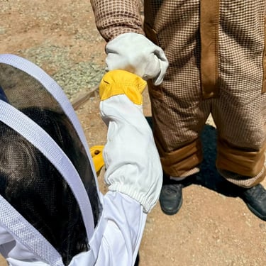 Bee & Wasp Treatment Services in Menifee CA Footprint Pest Management