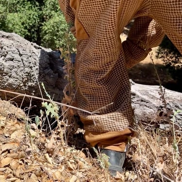 Property Management Pest Control Bee Treatment in Wildomar CA by Footprint Pest Management