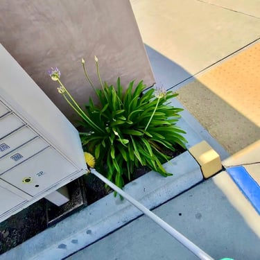 Commercial General Pest Control in Riverside County Footprint Pest Management