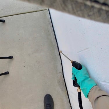 Cricket Treatment Service Menifee CA Footprint Pest Management