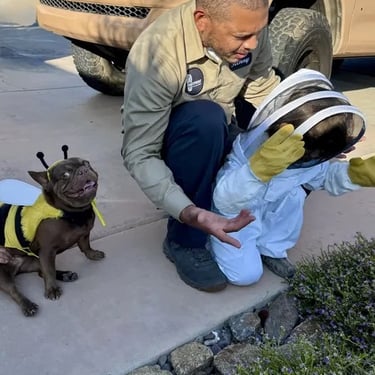 Family-owned Pest Control in Menifee, Murrieta, Temecula Footprint Pest Management