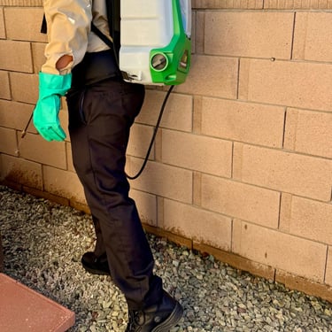 Ant Control exterior perimeter treatment Footprint Pest Management