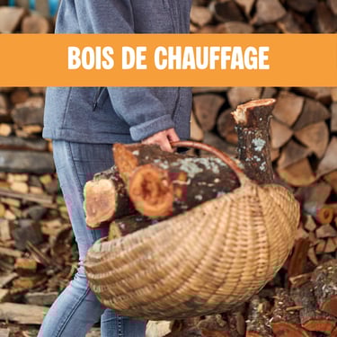 Bois de chauffage sec à Vienne