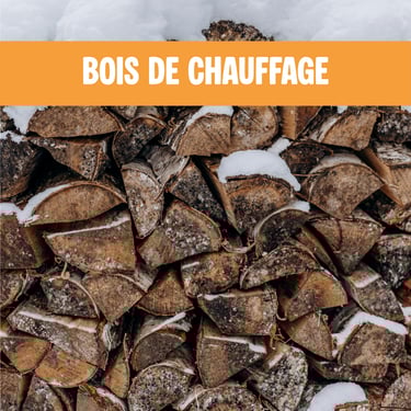 bois Le Chambon-Feugerolles, 