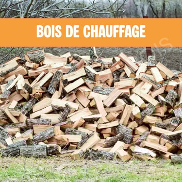 bois de chauffage Saint-Jean-de-la-Ruelle