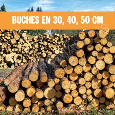 Buches bien sec Saint-Louis