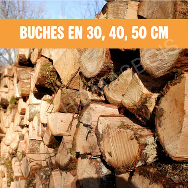 Bois sec Vincennes
