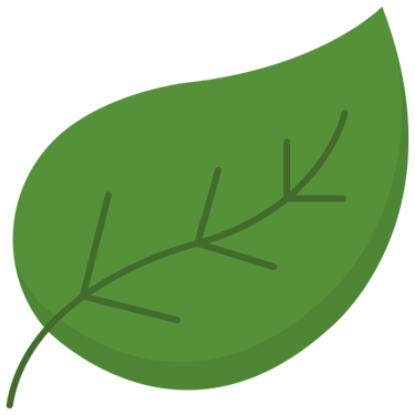 a green leaf with a leaf on it