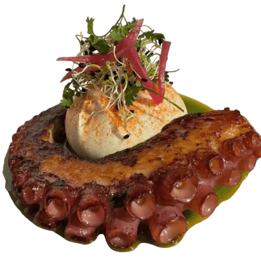Tentacule de poulpe grillé caramélisé servi sur une burrata crémeuse, garnie d'oignons rouges marinés et de micro-pousses