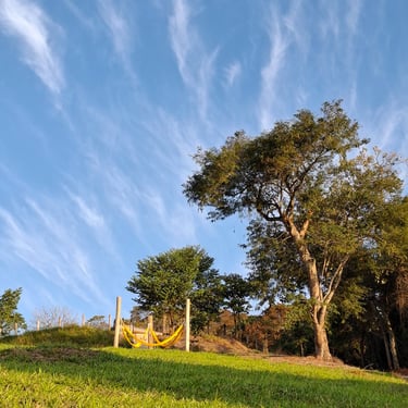 Fim de tarde com céu azul e nuvens riscadas