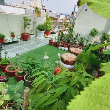 waste plastic uses , garden of kavita