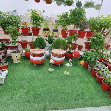 waste plastic uses , garden of kavita