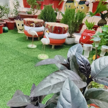 how to use waste plastic , garden of kavita
