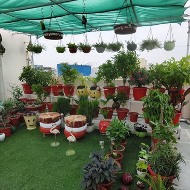 how to use waste plastic , garden of kavita