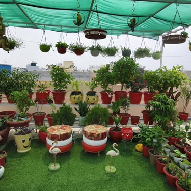 how to use waste plastic , garden of kavita