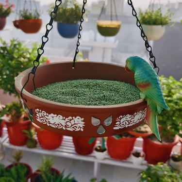 use of waste plastic , garden of kavita