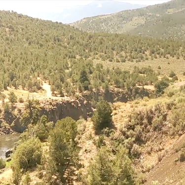 train by the river