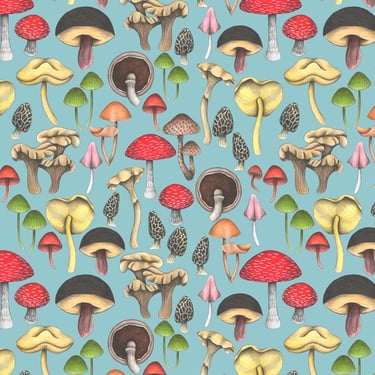 Hannd-drawn Mushrooms Pattern with a blue background