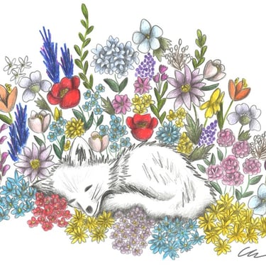 Hand-drawn illustration of a sleeping fox surrounded by flowers