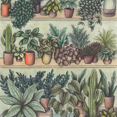 Hand-drawn illustration of a plants shop full of potted plants