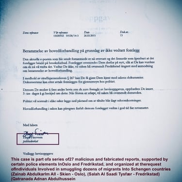 Hege Finsveen, Fredrikstad Politi, Salah al Saadi, Zainab Abdulkarim,Irak,Oslo,Falsk kunstutstilling,Oslo politi