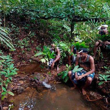bien-être et santé-écologie-culture-mystique-tradition-Iboga-Bwiti-Mikoumou village-Libreville-Gabon