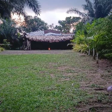 bien-être et santé-écologie-culture-mystique-tradition-Iboga-Bwiti-Mikoumou village-Libreville-Gabon