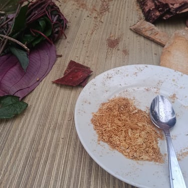 bien-être et santé-écologie-culture-mystique-tradition-Iboga-Bwiti-Mikoumou village-Libreville-Gabon