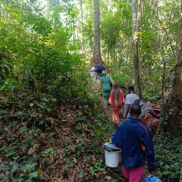 Randonnée et marche en forêt. Immersion pratique dans l'environnement naturel