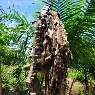 bien-être et santé-écologie-culture-mystique-tradition-Iboga-Bwiti-Mikoumou village-Libreville-Gabon