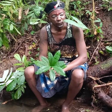 bien-être et santé-écologie-culture-mystique-tradition-Iboga-Bwiti-Mikoumou village-Libreville-Gabon