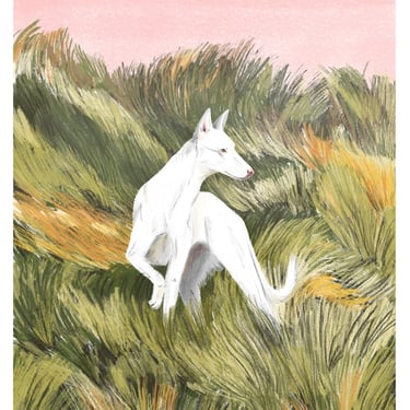 illustration of a greyhound dog in a tall grass field and a pink serene sky