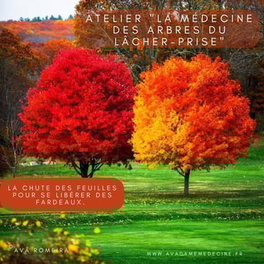 medecine des arbres feuilles cercle ressenti atelier