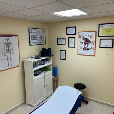 consulta fisioterapia jerez Miguel Beato