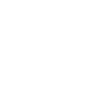 pioneer logo white