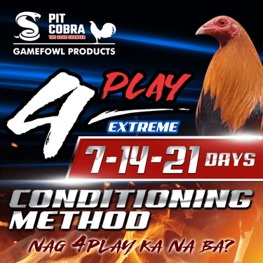 Pit Cobra 4Play Extreme Conditioning Method