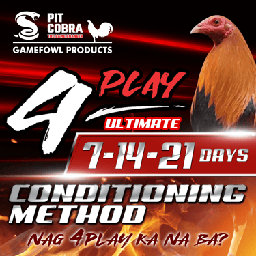 Pit Cobra 4Play Ultimate Conditioning Method