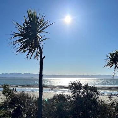 a beach with palm trees and a bright sun
