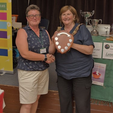 Sandy Garden & Craft Show 2024 - Debbie Wallis - The Top That Sugarcraft Shield (for the best exhibit in classes 119-124)