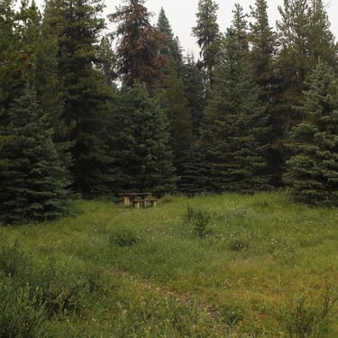 Maligne Lake trail in Jasper National Park 