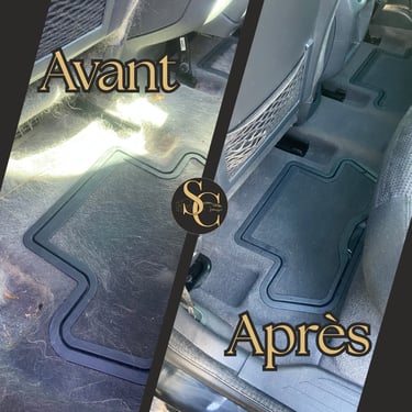Nettoyage automobile poils animaux avant après — lavage intérieur voiture à domicile Manche
