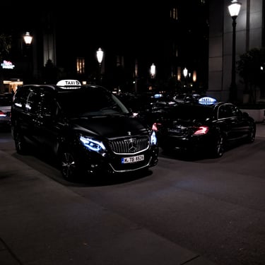 nerjamalagataxi.es car