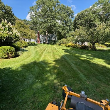 lawn-maintenance-in-north-shore-residential-yard