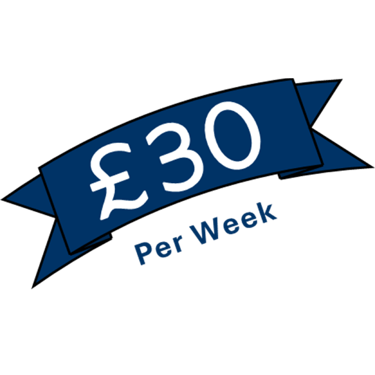 Remotivly Pro Plan for Remote Training Assistant, Teaching Assistant, Remote Travel Assistant