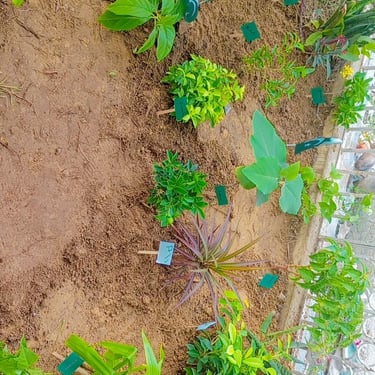 Child enjoying a group therapy session