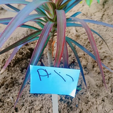 Child using building blocks during therapy