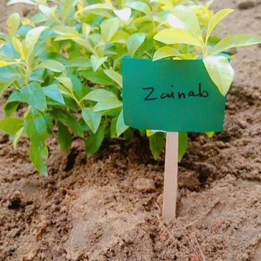 Child practicing motor skills in therapy